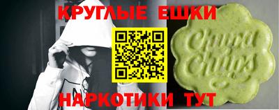 spice Камышлов