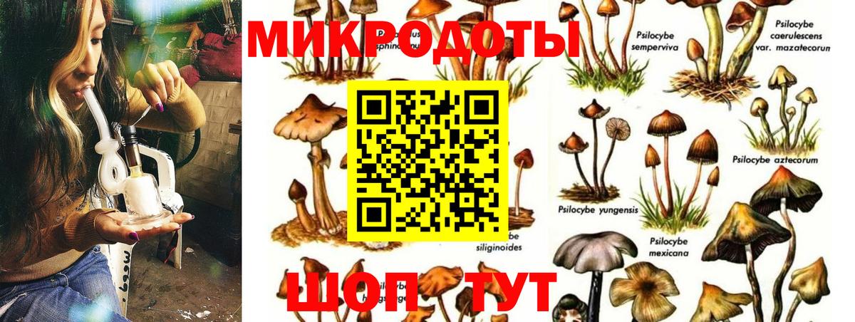 Кубинка  Псилоцибиновые грибы прущие грибы  Вход с VPN  Галлюциногенные грибы MAGIC MUSHROOMS 